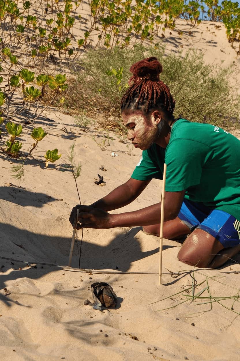 Plantation de mangroves par les équipes VOIZO